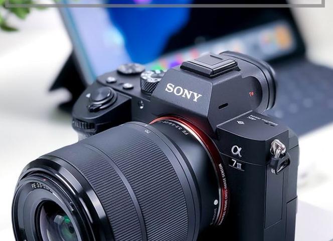 50+ мировых ресурсов бесплатного онлайн-образования